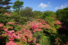 DSC01123