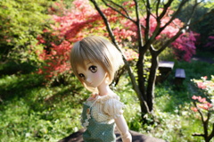 DSC01077
