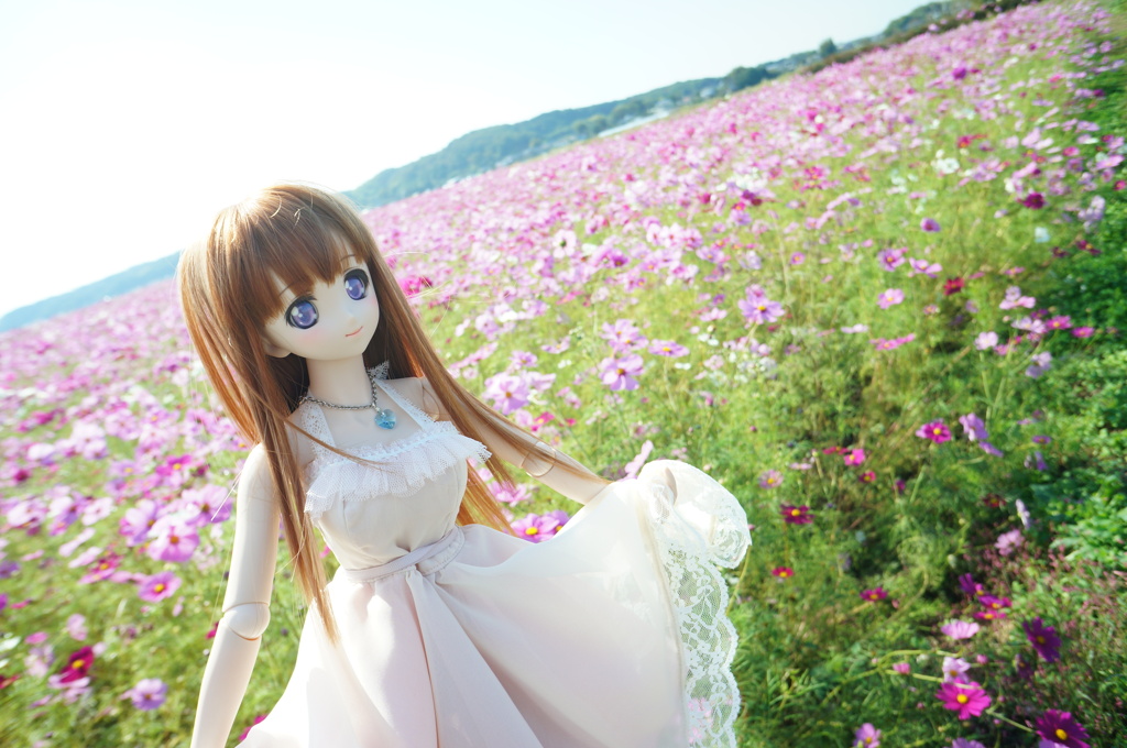 DSC04526