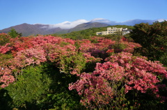 DSC01026