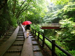 雨の中
