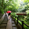 雨の中