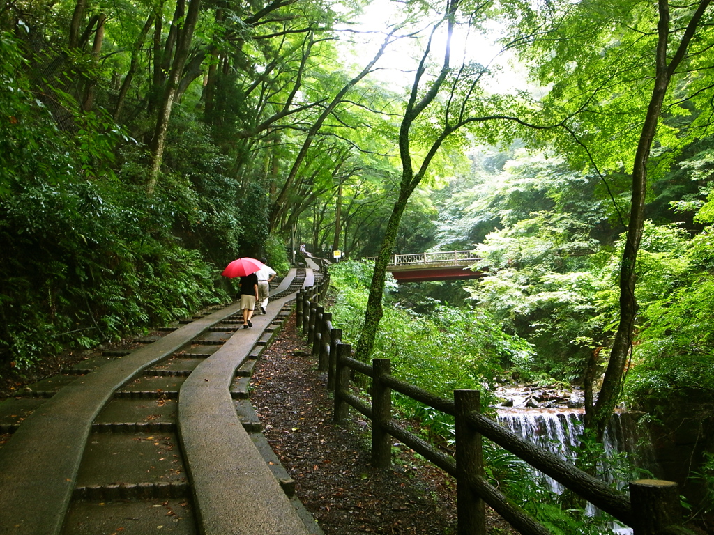雨の中