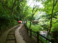 雨の中