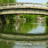 倉敷川の流れ