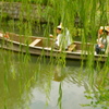 川舟流し