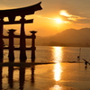 宮島より5