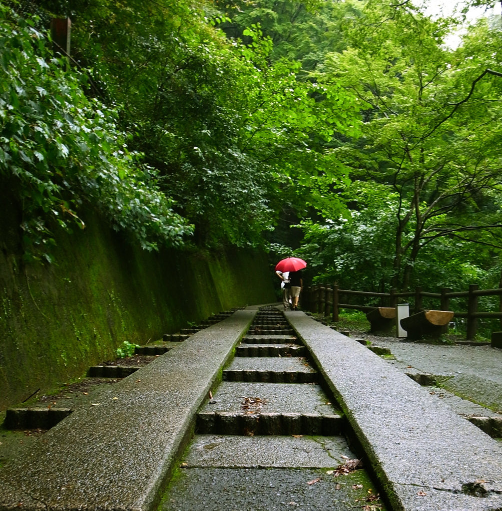 雨の中