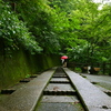 雨の中