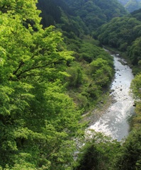 新緑の渓谷