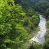 新緑の渓谷