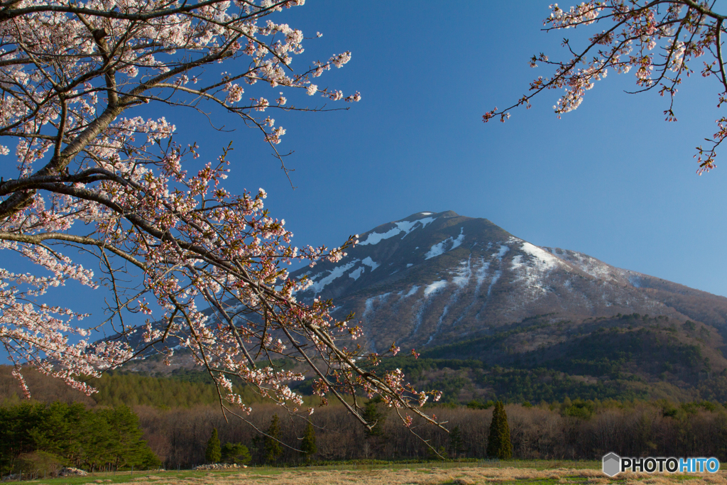 会津磐梯山の雪解けとサクラ