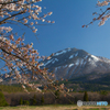 会津磐梯山の雪解けとサクラ