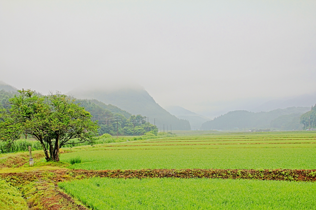 田園風景