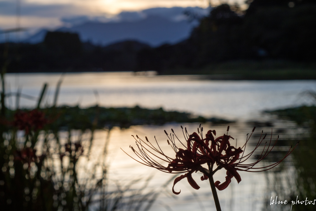 夕暮れの南湖公園