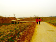 《洑 水 红 桥  2011- -醉  影  月  华》005