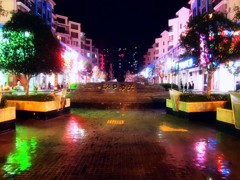 《夜游汉口春天2011-醉影月华》001