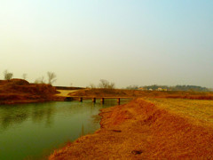 《洑 水 红 桥  2011- -醉  影  月  华》002