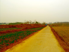 《洑 水 红 桥  2011- -醉  影  月  华》003