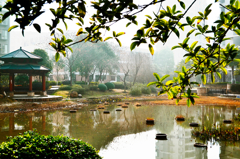 景DSC0001-01_副本