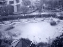 《窗外雨景2011-醉影月华》 (7)