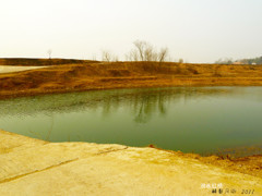 《洑 水 红 桥  2011- -醉  影  月  华》001