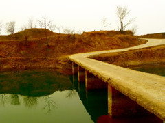 《洑 水 红 桥  2011- -醉  影  月  华》004