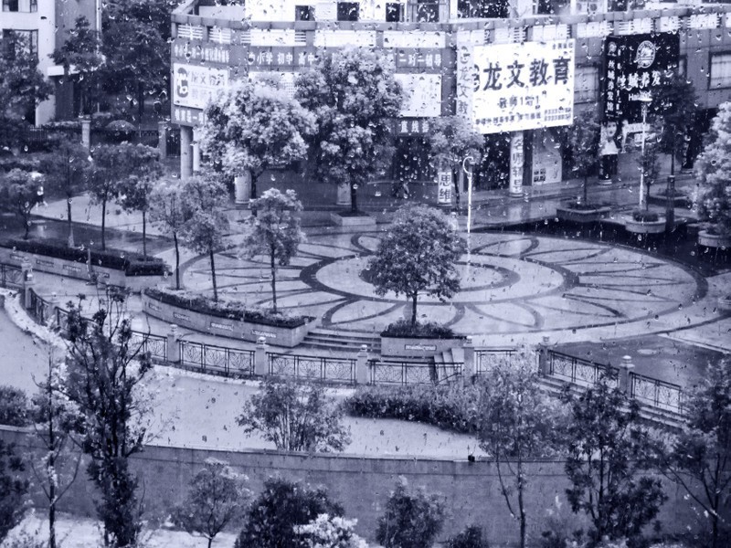 《窗外雨景2011-醉影月华》 (1)