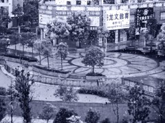 《窗外雨景2011-醉影月华》 (1)