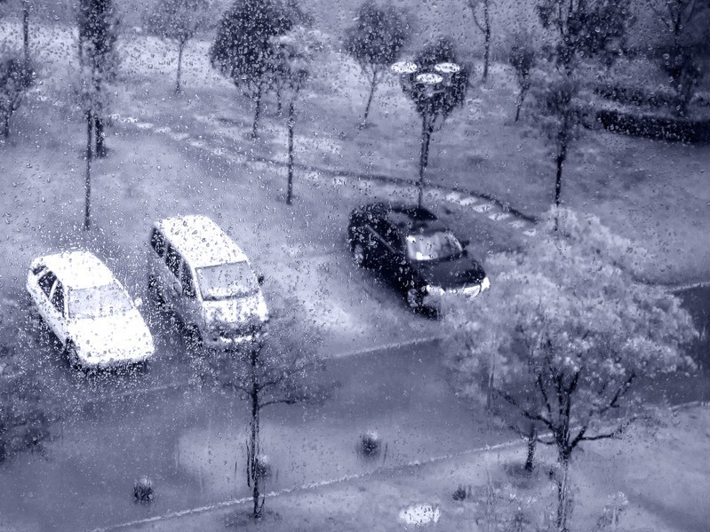 《窗外雨景2011-醉影月华》 (4)