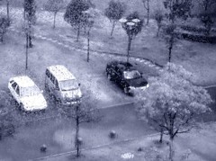 《窗外雨景2011-醉影月华》 (4)