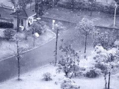 《窗外雨景2011-醉影月华》 (3)