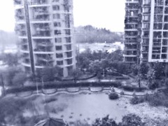 《窗外雨景2011-醉影月华》 (6)
