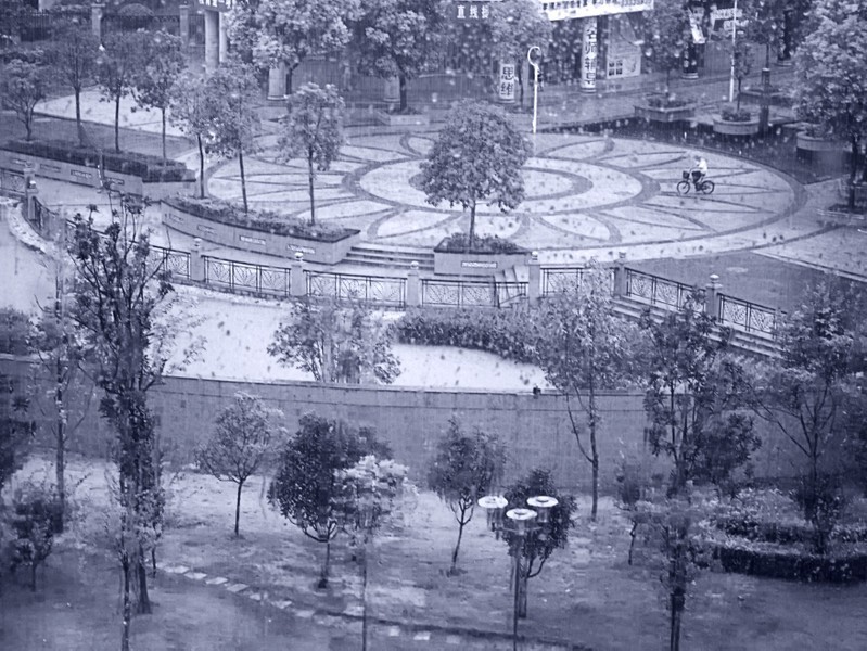 《窗外雨景2011-醉影月华》 (2)