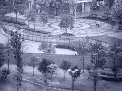 《窗外雨景2011-醉影月华》 (2)