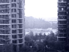 《窗外雨景2011-醉影月华》 (5)