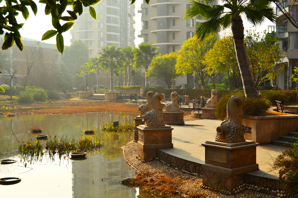 景DSC_0015-1_副本