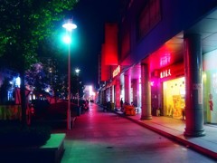 《夜游汉口春天2011-醉影月华》006