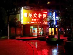 《夜游汉口春天2011-醉影月华》007