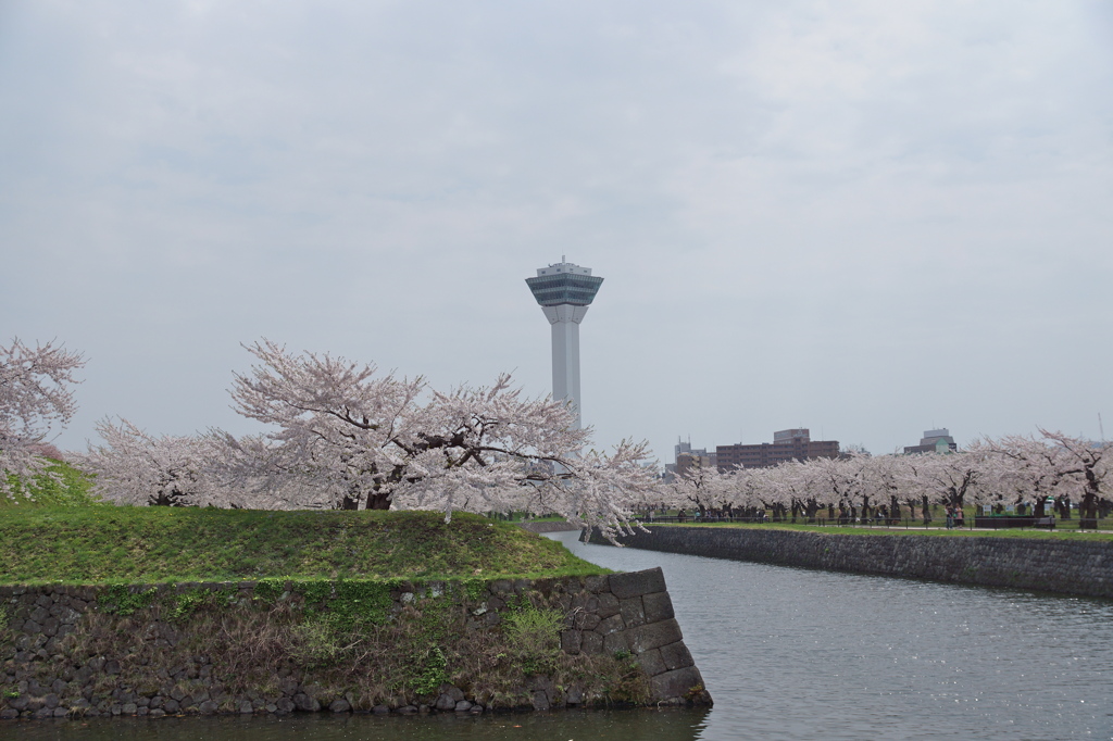 五稜郭公園