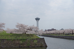 五稜郭公園