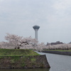 五稜郭公園