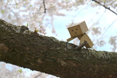 見つけタッ