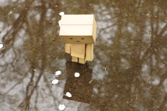 水たまり