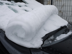 雪のロールケーキ