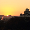 朝日を浴びて