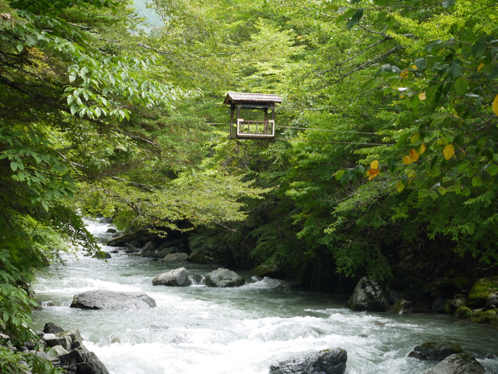 野猿