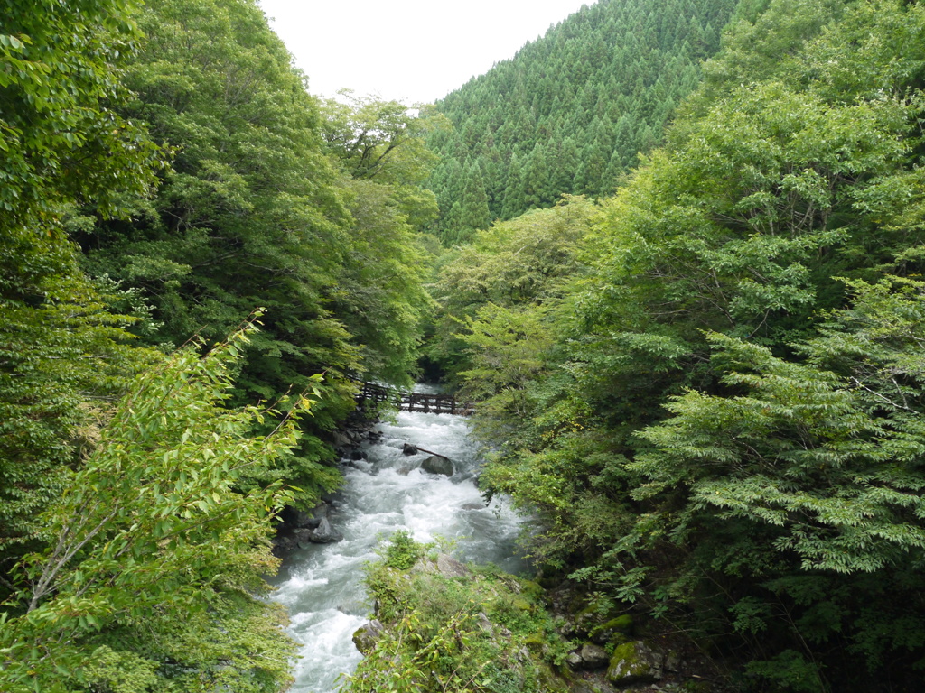 女橋