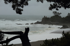 桂浜