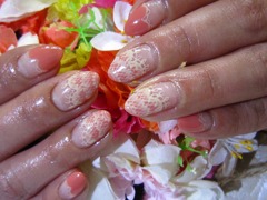20130214 (3)